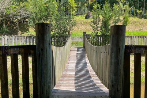 Вилла с 3 спальнями в Пальоса, Бразилия №62399 16