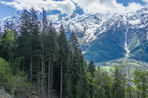 Дом с 4 спальнями в Лез-Уш, Франция №99933 1