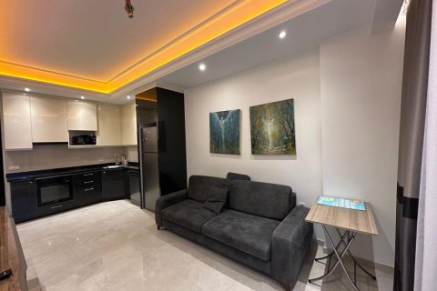 Квартира с 2 комнатами в Bo Ha, Вьетнам №81206 10