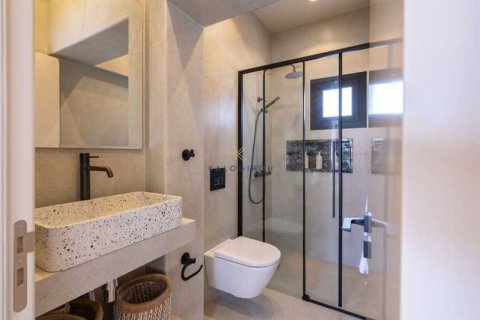 2 chambres House à Larnaca, Cyprus No. 101871 13