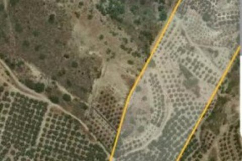 99000m² Land in Lasithi, Greece No. 107685 5
