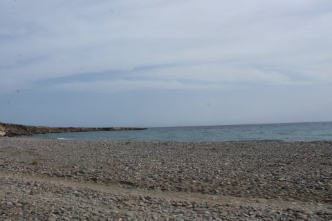 99000m² Land in Lasithi, Greece No. 107685 2