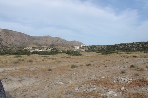 99000m² Land in Lasithi, Greece No. 107685 3