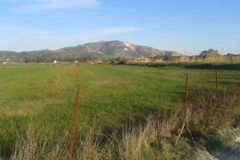 Land in Zakynthos, Greece No. 28067 6