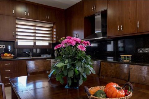 4 chambres House à Drymou, Cyprus No. 65428 12