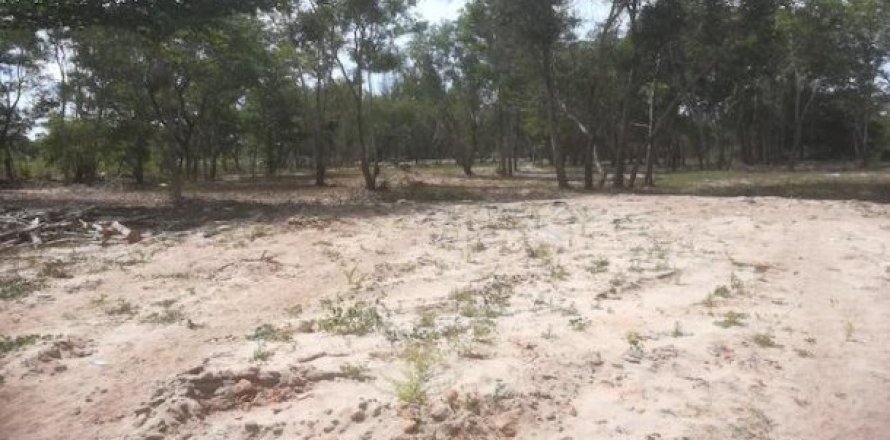 Studio Apartment in Mai Khao, Thailand No. 96445