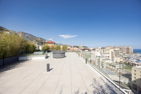 3 bedrooms Apartment in Cap-d'Ail, France No. 100297 14