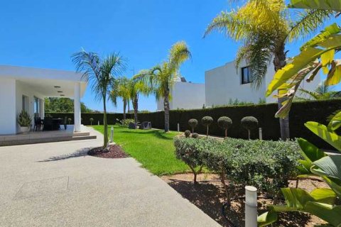 4 bedrooms House in Chloraka, Cyprus No. 77163 9