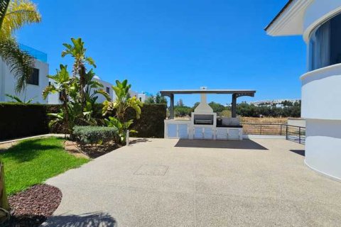 4 bedrooms House in Chloraka, Cyprus No. 77163 8