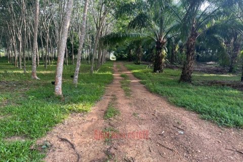 7456m² Land in Ao Nang, Thailand No. 97426 4