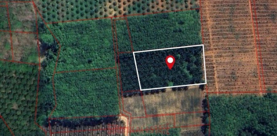 7456m² Land in Ao Nang, Thailand No. 97426