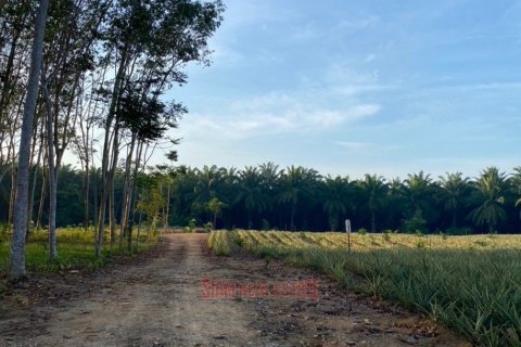 7456m² Land in Ao Nang, Thailand No. 97426 3