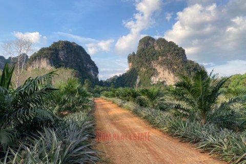 7456m² Land in Ao Nang, Thailand No. 97426 2