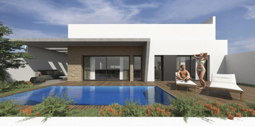 3 bedrooms Villa in Torrevieja, Spain No. 111149