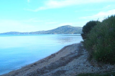 76000m² Land à Corfu, Greece No. 57195 6