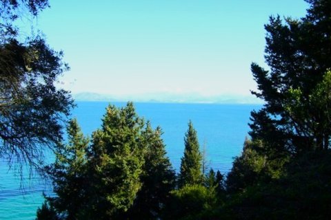 76000m² Land à Corfu, Greece No. 57195 8