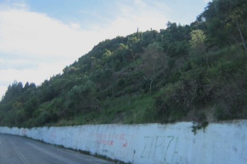 76000m² Land à Corfu, Greece No. 57195 7