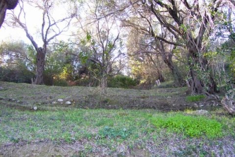 76000m² Land à Corfu, Greece No. 57195 11