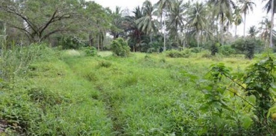 14464m² Land à Phang Nga, Thailand No. 95713