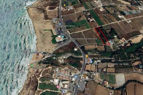 Commercial property en Kissonerga, Cyprus No. 35502 1