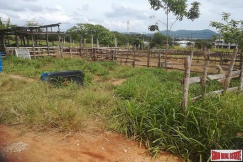 40000m² Land à Mai Khao, Thailand No. 96082 8