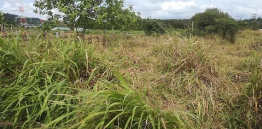 40000m² Land à Mai Khao, Thailand No. 96082