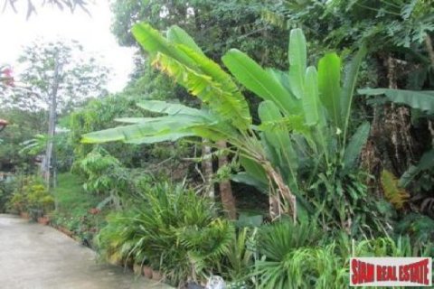 6800m² Land in Karon, Thailand No. 95688 13