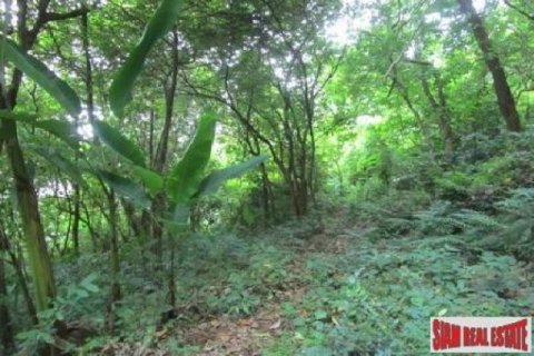 6800m² Land in Karon, Thailand No. 95688 11