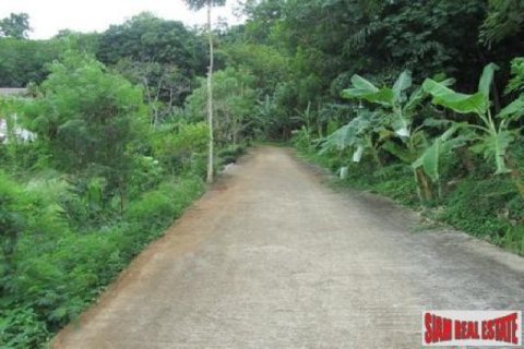 6800m² Land in Karon, Thailand No. 95688 6