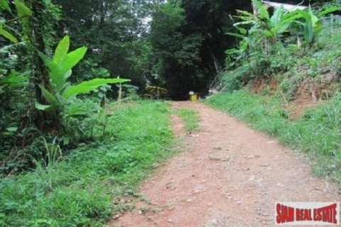6800m² Land in Karon, Thailand No. 95688 9