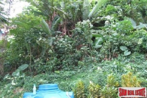 6800m² Land in Karon, Thailand No. 95688 14