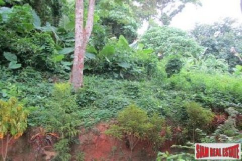 6800m² Land in Karon, Thailand No. 95688 16