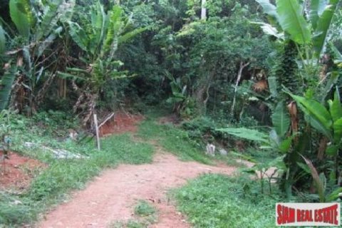 6800m² Land in Karon, Thailand No. 95688 10