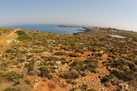 8064m² Land in Chania, Greece No. 23981 8