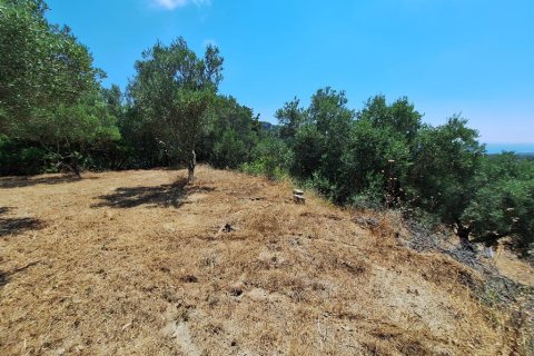 3310m² Land in Corfu, Greece No. 107422 4