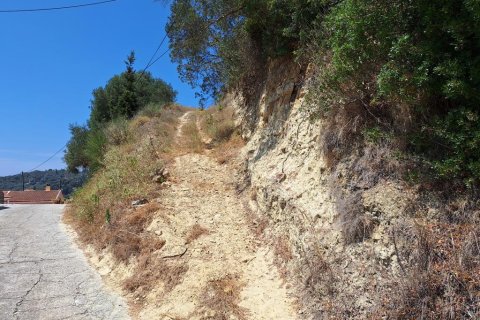3310m² Land in Corfu, Greece No. 107422 9