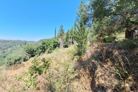 3310m² Land in Corfu, Greece No. 107422 8