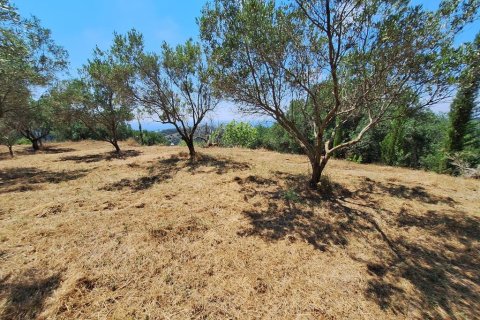 3310m² Land in Corfu, Greece No. 107422 6