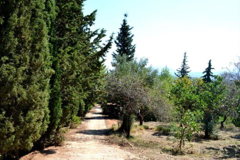 5 chambres House à Paiania, Greece No. 60088 19