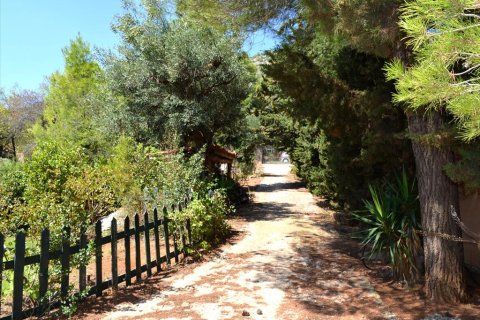 5 chambres House à Paiania, Greece No. 60088 18