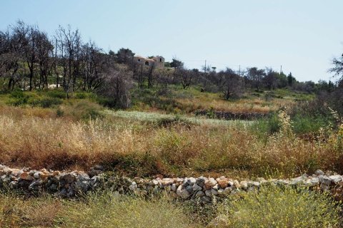 Land en Zakynthos, Greece No. 69527 3