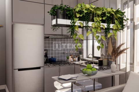 3 bedrooms Villa in Chau Doc, Vietnam No. 14535 22