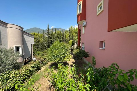 4 rooms Apartment in Chau Lang, Vietnam No. 21175 10