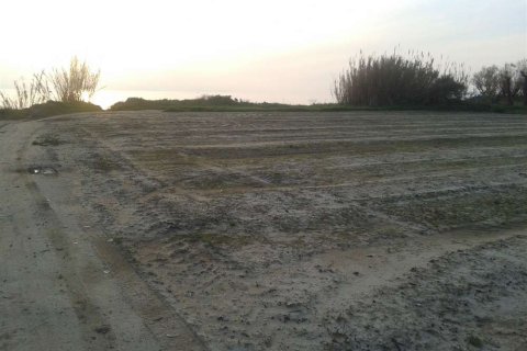 Land in Elis, Greece No. 28143 7