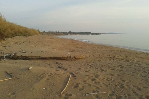 Land in Elis, Greece No. 28143 1