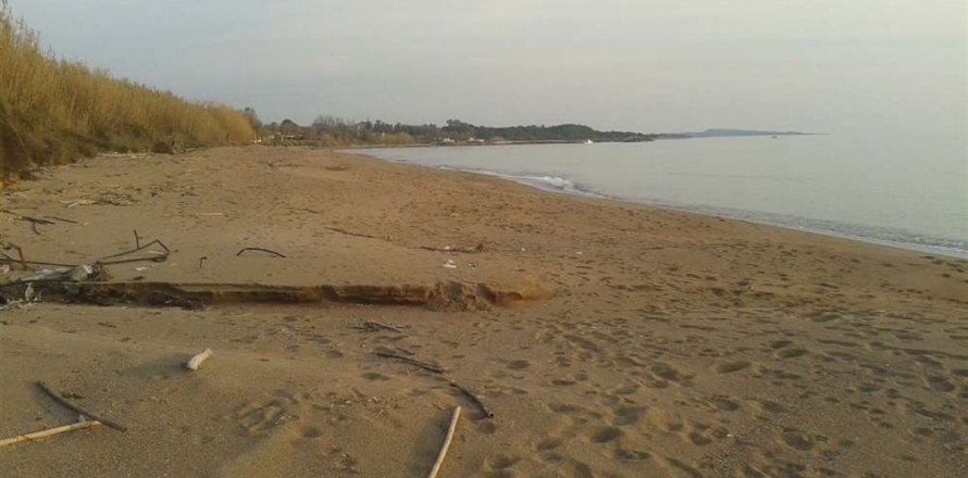 Land in Elis, Greece No. 28143