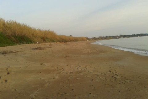 Land in Elis, Greece No. 28143 6