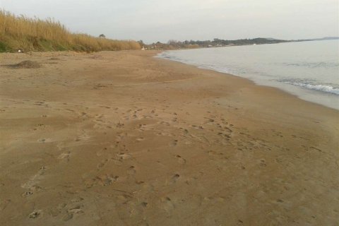 Land in Elis, Greece No. 28143 14