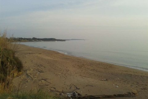 Land in Elis, Greece No. 28143 10