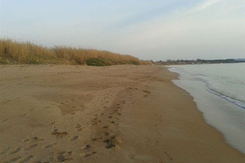 Land in Elis, Greece No. 28143 4